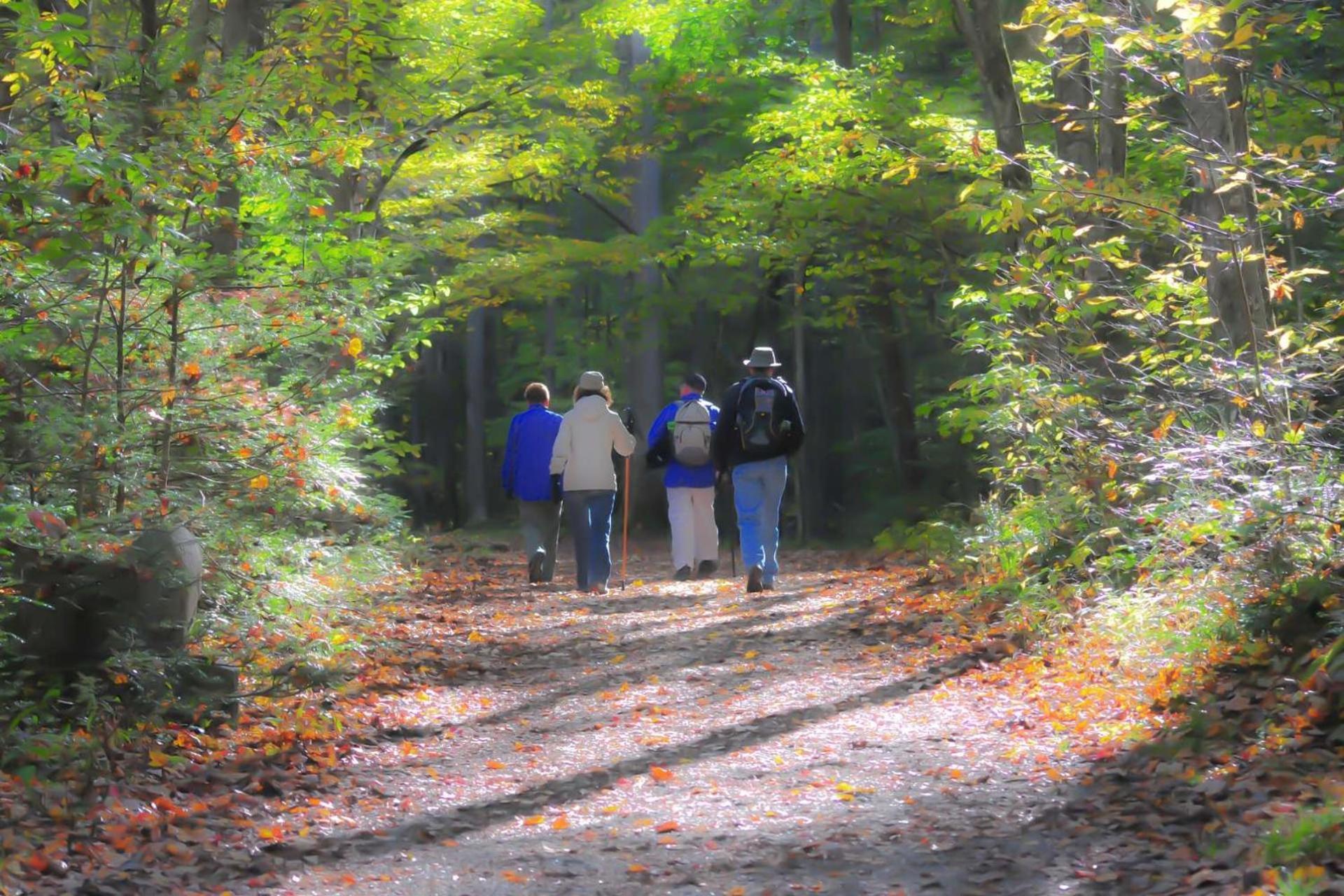 Hidden Hollow Pigeon Forge Buitenkant foto