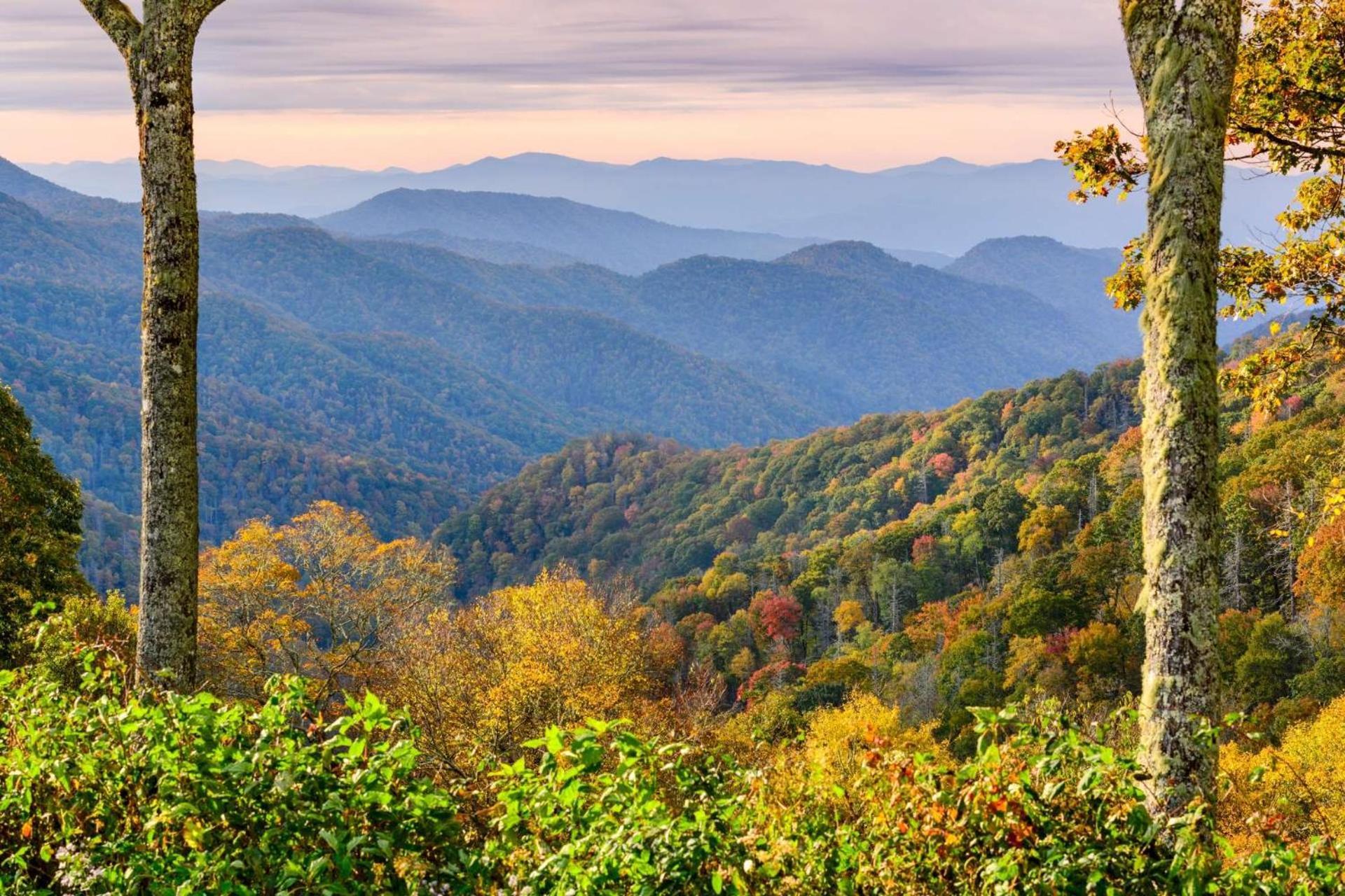 Hidden Hollow Pigeon Forge Buitenkant foto