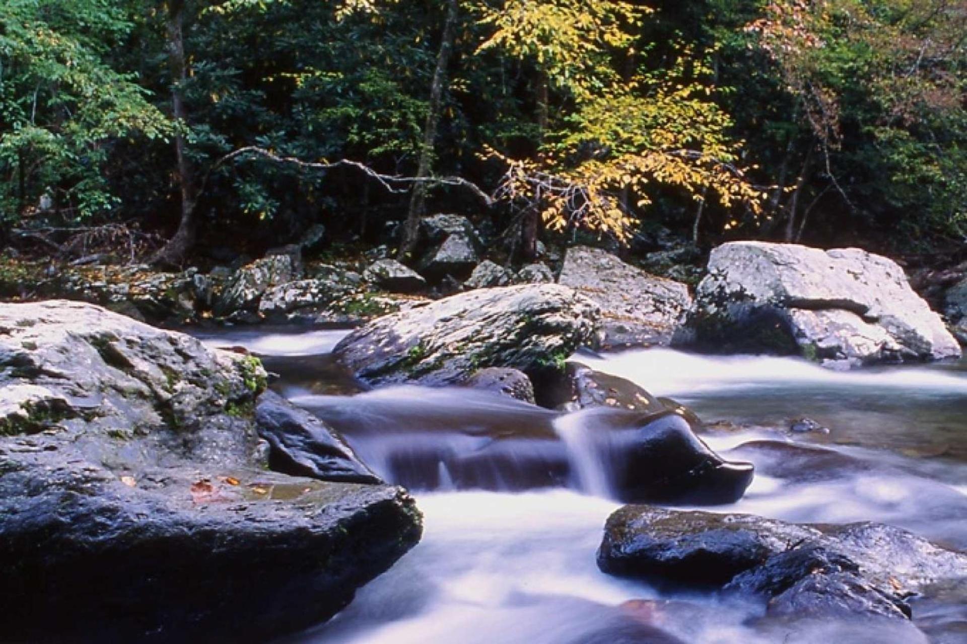 Hidden Hollow Pigeon Forge Buitenkant foto