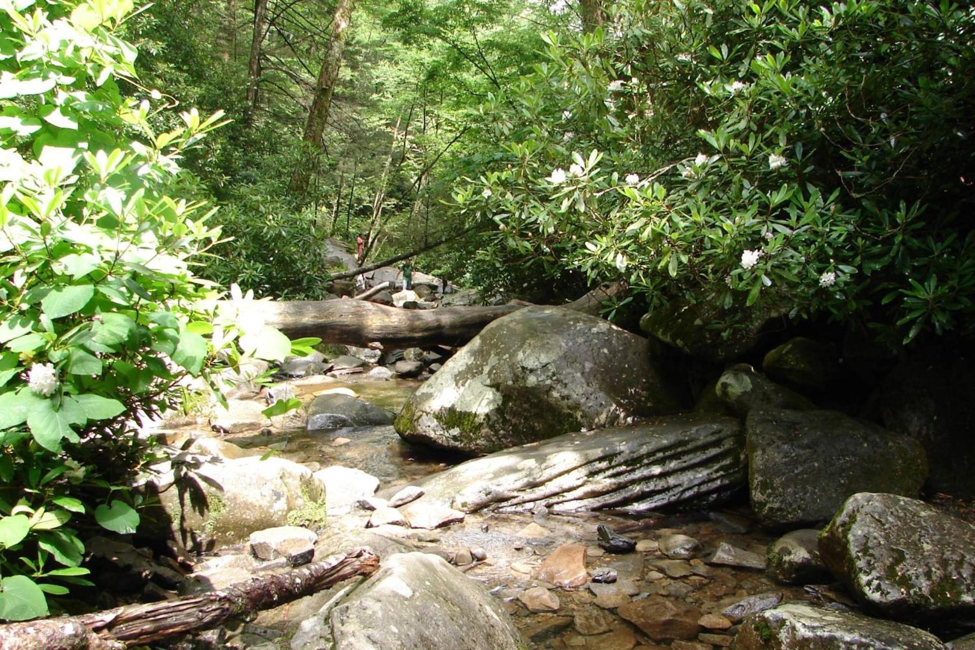 Hidden Hollow Pigeon Forge Buitenkant foto